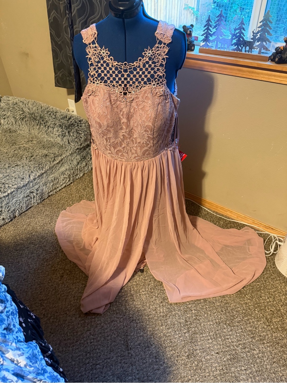 City Triangles Dusty Rose Lace & Chiffon Maxi Dress